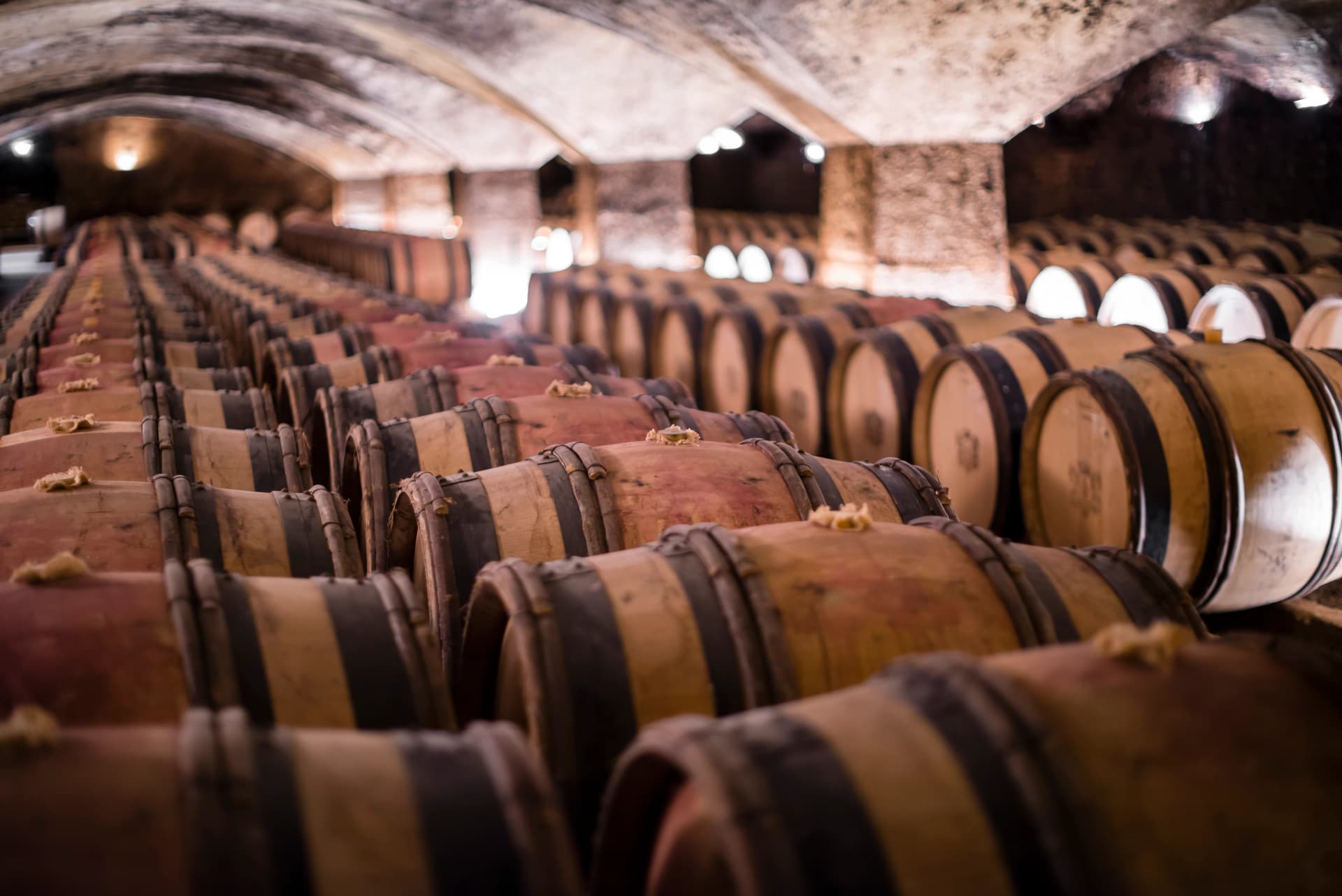 Traditional oak casks in wine cellars